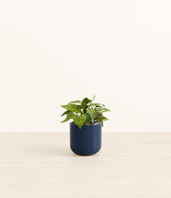 Load image into Gallery viewer, Twilight Blue*****Profile