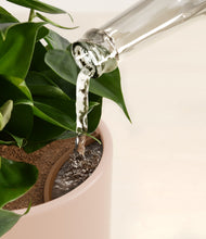 Load image into Gallery viewer, Peach Blossom stand:all