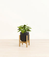 Load image into Gallery viewer, Stone Black stand:bamboo
