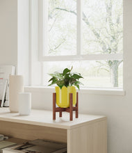 Load image into Gallery viewer, Key Lime Yellow stand:walnut