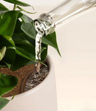 Load image into Gallery viewer, Winding River stand:all