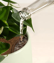 Load image into Gallery viewer, Coastal Breeze stand:all