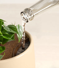 Load image into Gallery viewer, Sandy stand:all