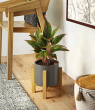 Load image into Gallery viewer, Dark Olive stand:light