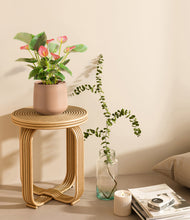 Load image into Gallery viewer, Gentle Pink