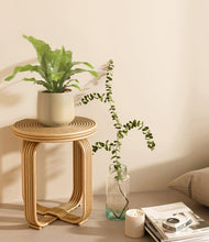 Load image into Gallery viewer, Almond Green