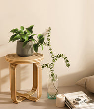 Load image into Gallery viewer, Olive