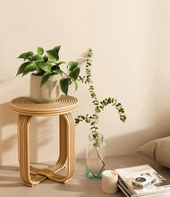 Load image into Gallery viewer, Almond Green