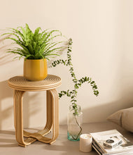 Load image into Gallery viewer, Mustard