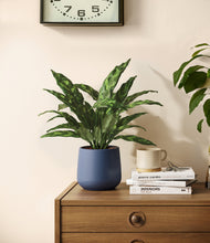 Load image into Gallery viewer, Deep Navy