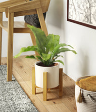 Load image into Gallery viewer, Cream stand:light