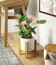 Load image into Gallery viewer, White stand:light