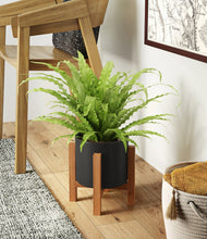 Load image into Gallery viewer, Black stand:light