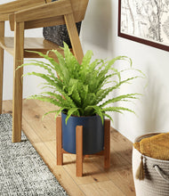 Load image into Gallery viewer, Deep Navy stand:light