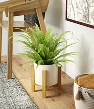 Load image into Gallery viewer, Cream stand:light