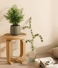 Load image into Gallery viewer, Olive