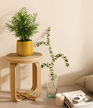 Load image into Gallery viewer, Mustard