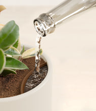 Load image into Gallery viewer, Pebble Shore