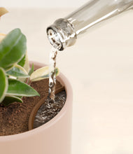 Load image into Gallery viewer, Peach Blossom