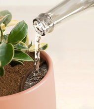 Load image into Gallery viewer, Evening Sky