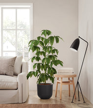 Load image into Gallery viewer, Stone Black