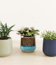 Load image into Gallery viewer, Earthy