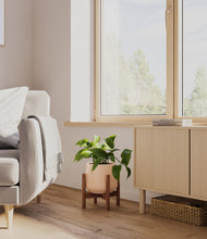 Load image into Gallery viewer, Gentle Pink stand:walnut