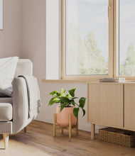 Load image into Gallery viewer, Calm Rose stand:bamboo