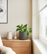 Load image into Gallery viewer, Dark Olive