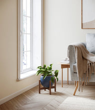 Load image into Gallery viewer, Deep Navy stand:walnut