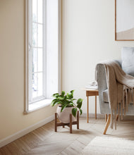 Load image into Gallery viewer, Desert Brown stand:walnut