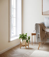 Load image into Gallery viewer, Shiny EggWhite stand:bamboo