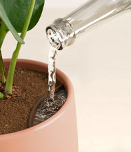 Load image into Gallery viewer, Calm Rose stand:all