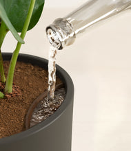 Load image into Gallery viewer, Dark Olive stand:all