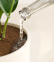 Load image into Gallery viewer, Cream stand:all