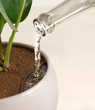 Load image into Gallery viewer, Winter Clouds stand:all