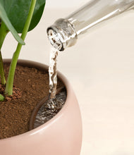 Load image into Gallery viewer, Desert Blush