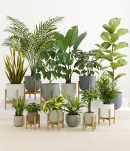 Load image into Gallery viewer, Countryside stand:eight_stands