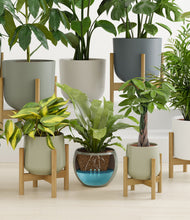 Load image into Gallery viewer, Countryside stand:eight_stands