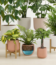 Load image into Gallery viewer, Evening Sky stand:five_stands