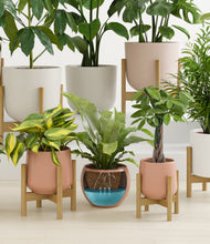 Load image into Gallery viewer, Evening Sky stand:eight_stands