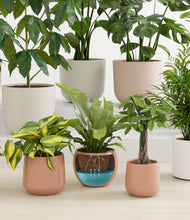 Load image into Gallery viewer, Evening Sky