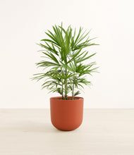 Load image into Gallery viewer, Earth Red