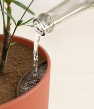 Load image into Gallery viewer, Earth Red stand:all