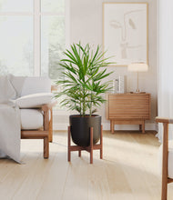 Load image into Gallery viewer, Stone Black stand:walnut