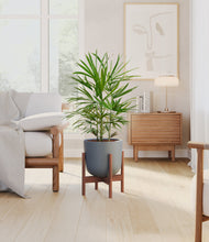 Load image into Gallery viewer, Iron Gray stand:walnut