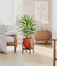 Load image into Gallery viewer, Earth Red stand:walnut