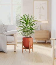 Load image into Gallery viewer, Earth Red stand:bamboo