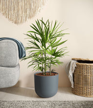 Load image into Gallery viewer, Iron Gray