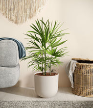 Load image into Gallery viewer, Natural Bamboo